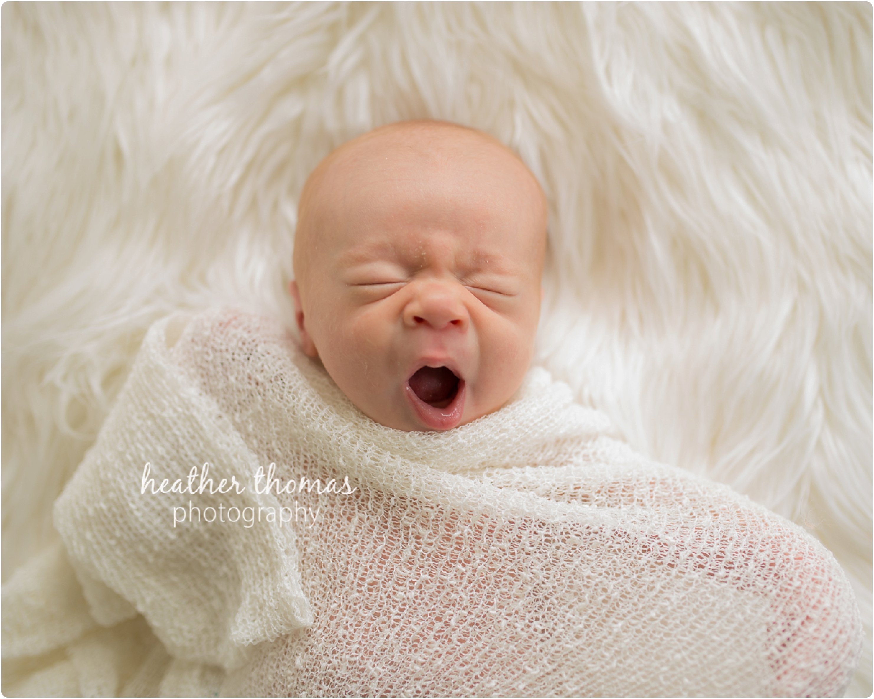 Newborn Photo Session| Bucks County PA Newborn Photographer