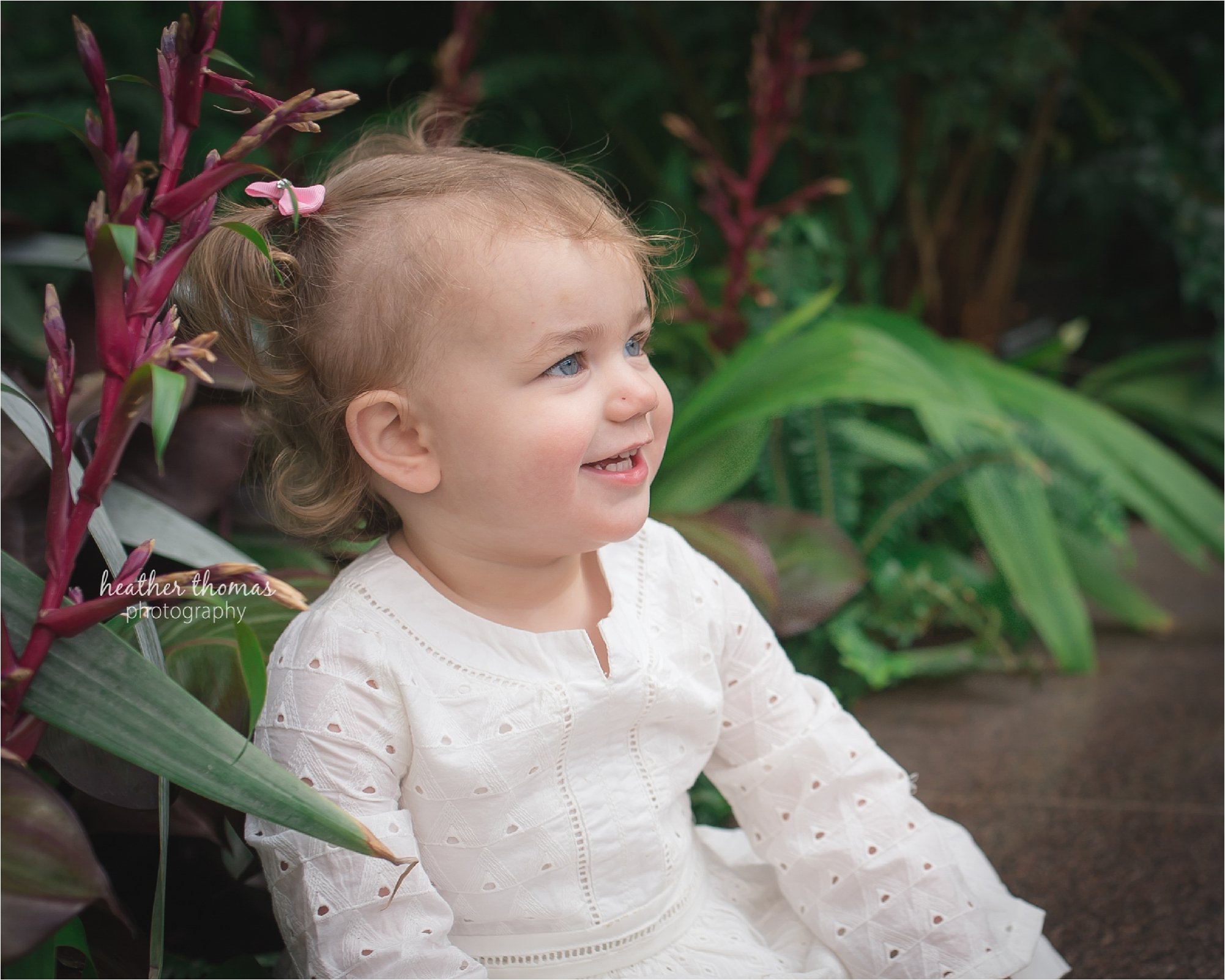 Montgomery County PA Family Photographer-74.jpg Montgomery County PA Family Photographer-74.jpg