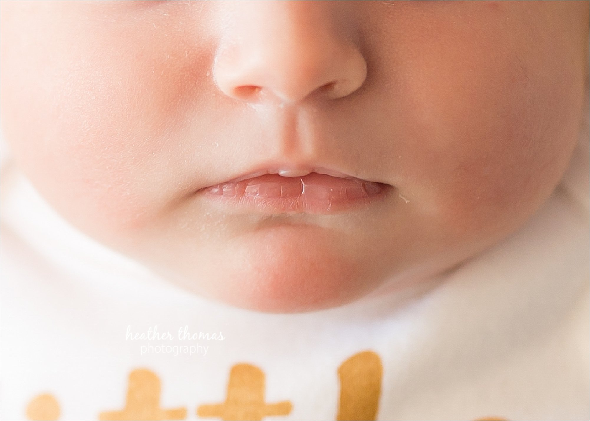 best newborn photographer philadelphia-23.jpg best newborn photographer philadelphia-23.jpg