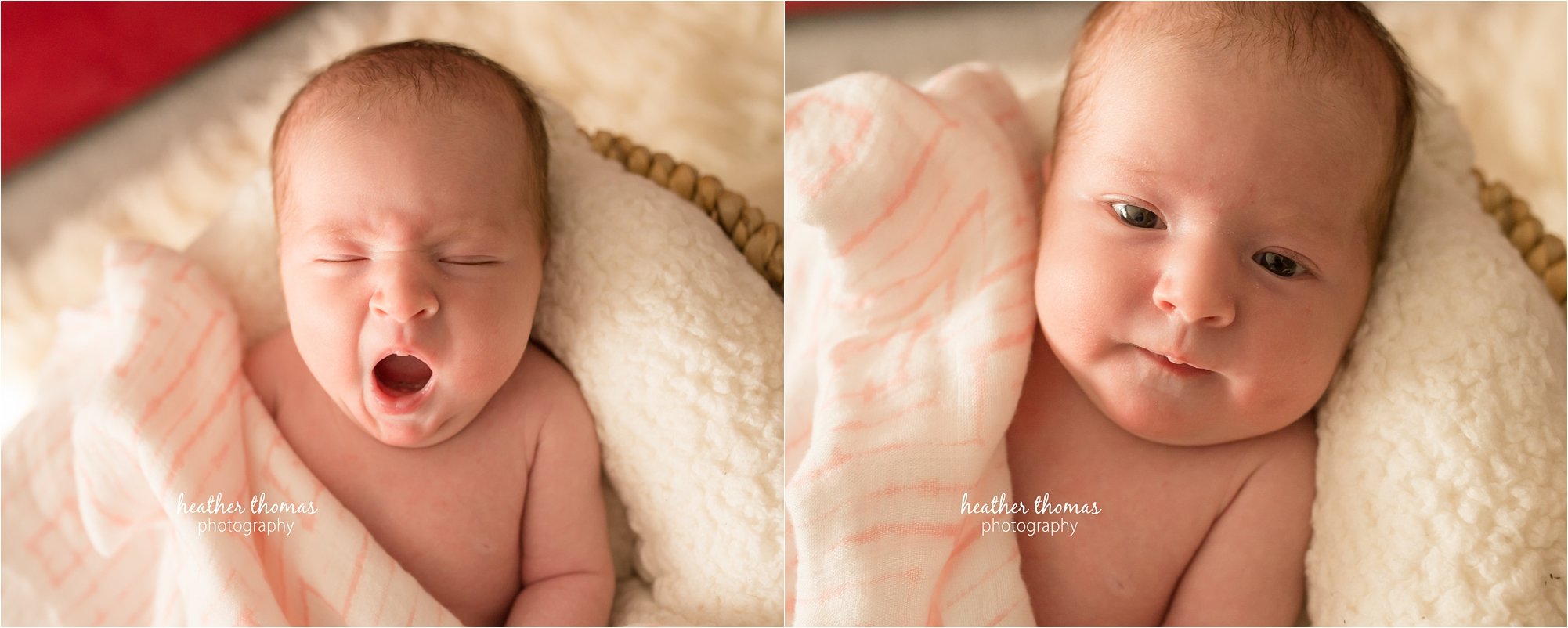 best newborn photographer philadelphia-63.jpg best newborn photographer philadelphia-63.jpg