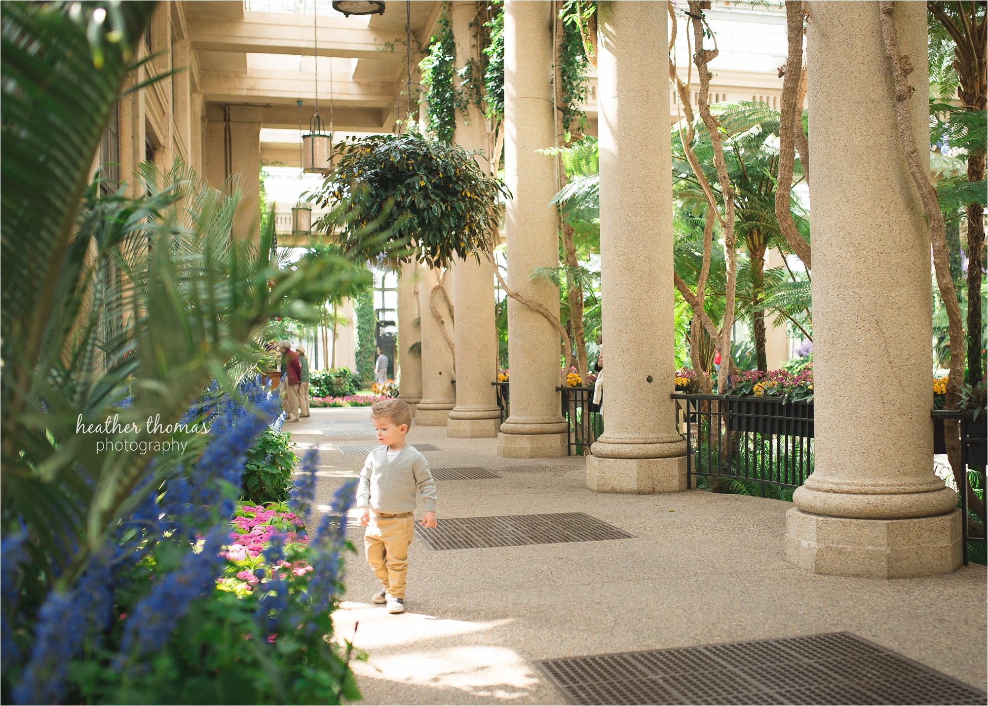 newtown pa family photographers-4.jpg family at longwood garden with heather thomas photography