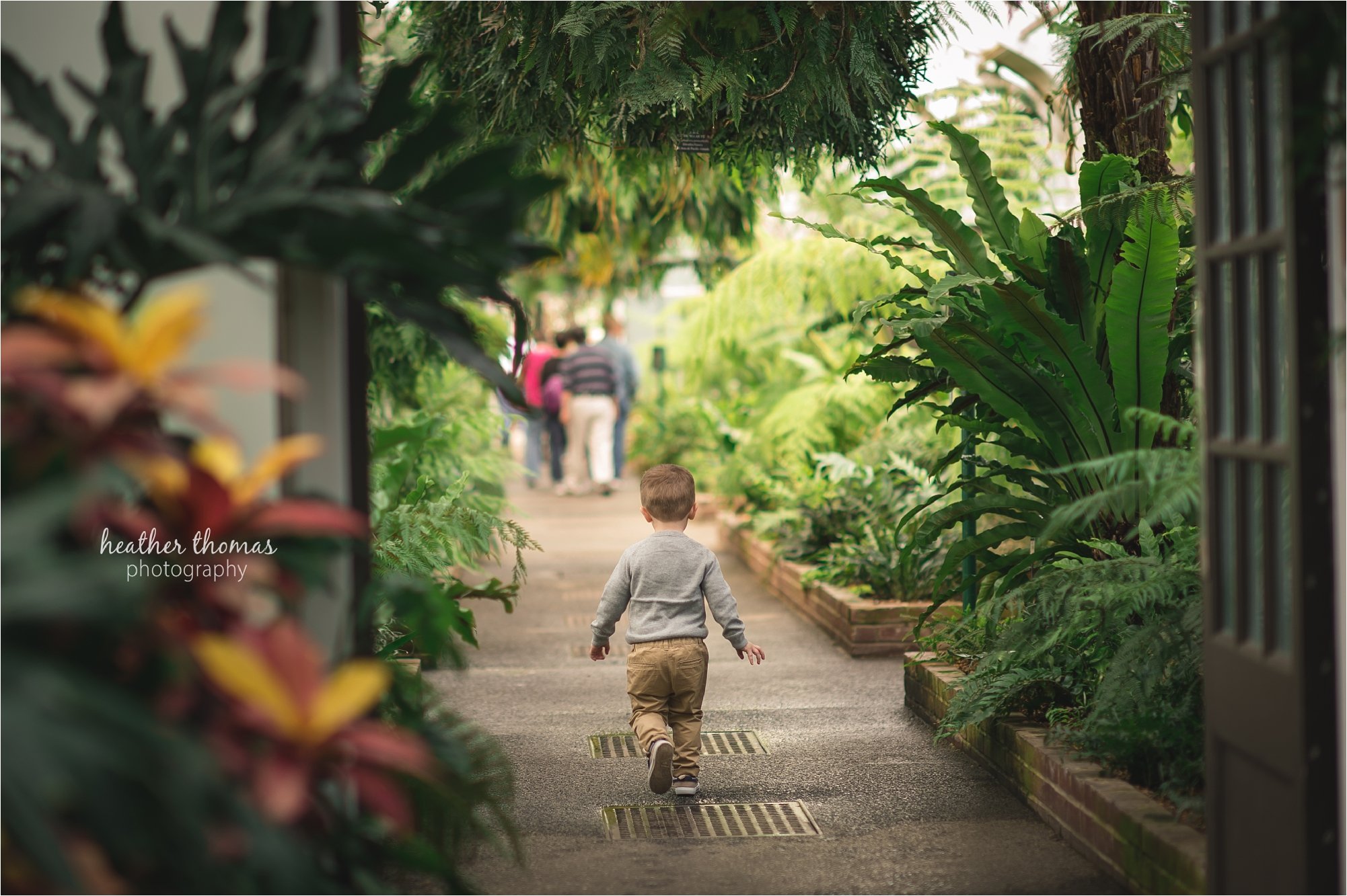 newtown pa family photographers-49.jpg family at longwood garden with heather thomas photography
