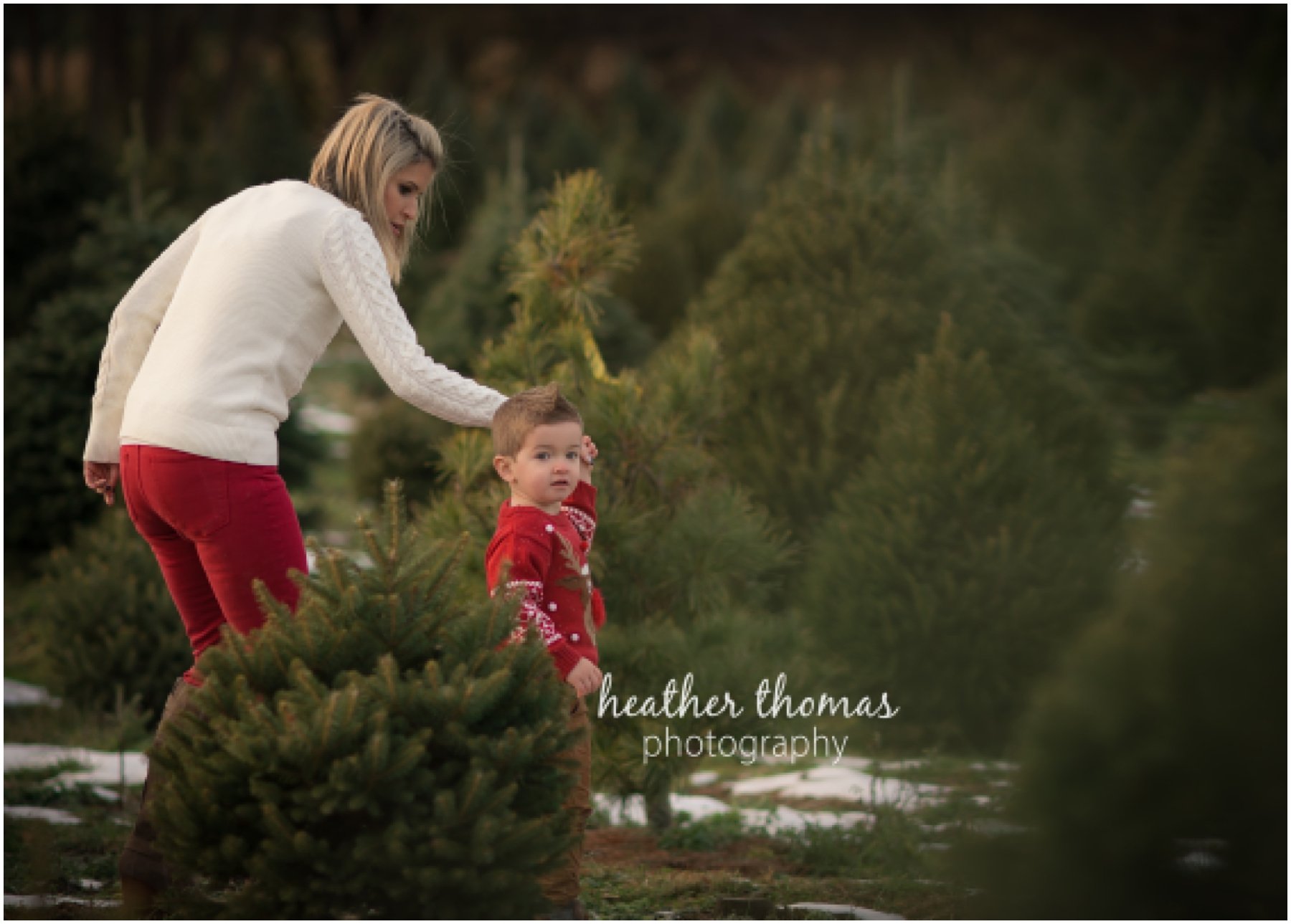 christmas-tree-farm-bucks-county-101.jpg christmas-tree-farm-bucks-county-101.jpg