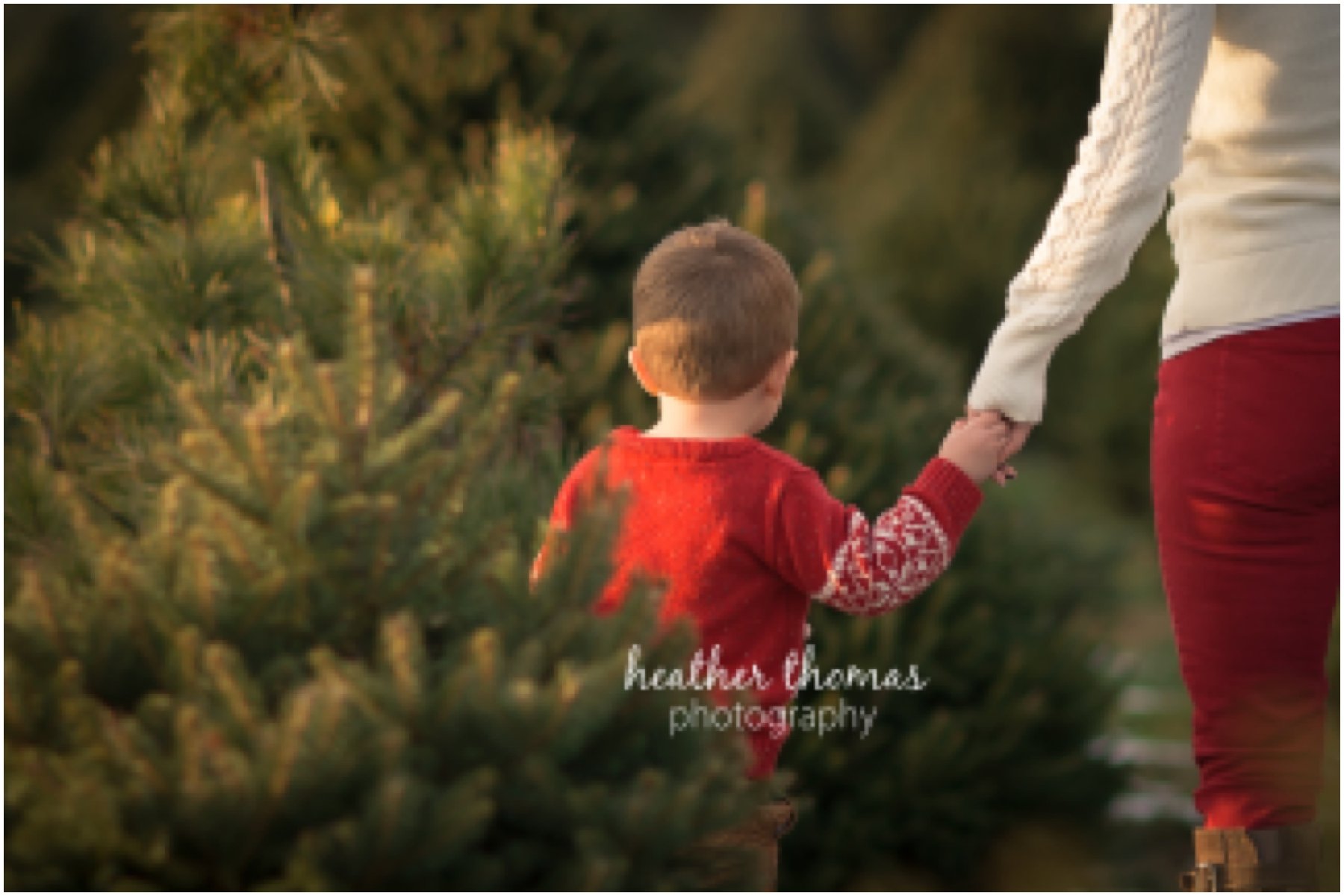 christmas-tree-farm-bucks-county-104.jpg christmas-tree-farm-bucks-county-104.jpg