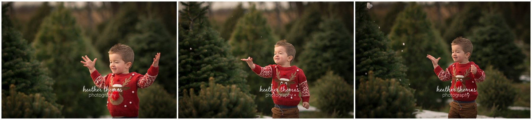 christmas-tree-farm-bucks-county-113.jpg christmas-tree-farm-bucks-county-113.jpg