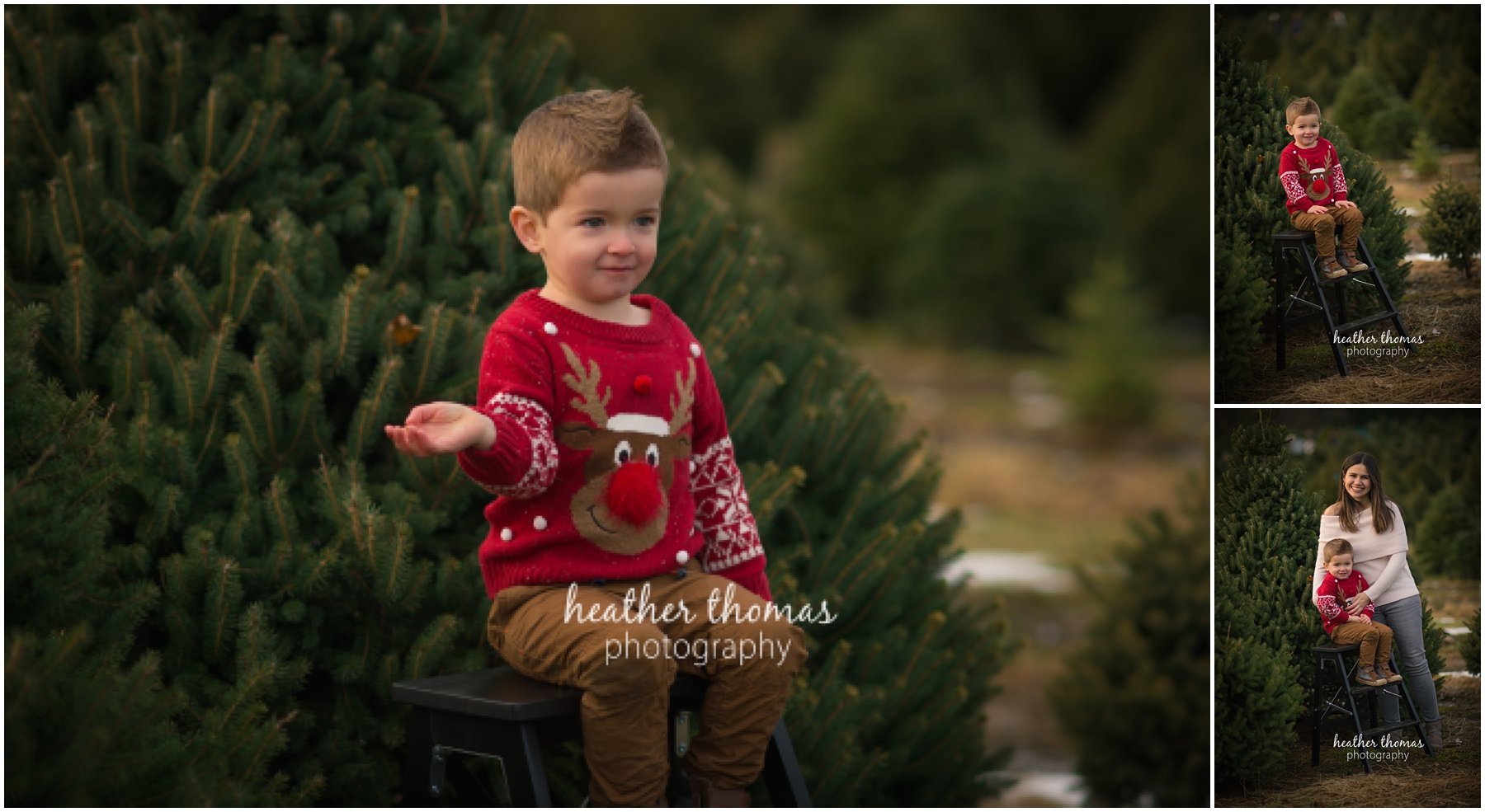 christmas-tree-farm-bucks-county-118.jpg christmas-tree-farm-bucks-county-118.jpg