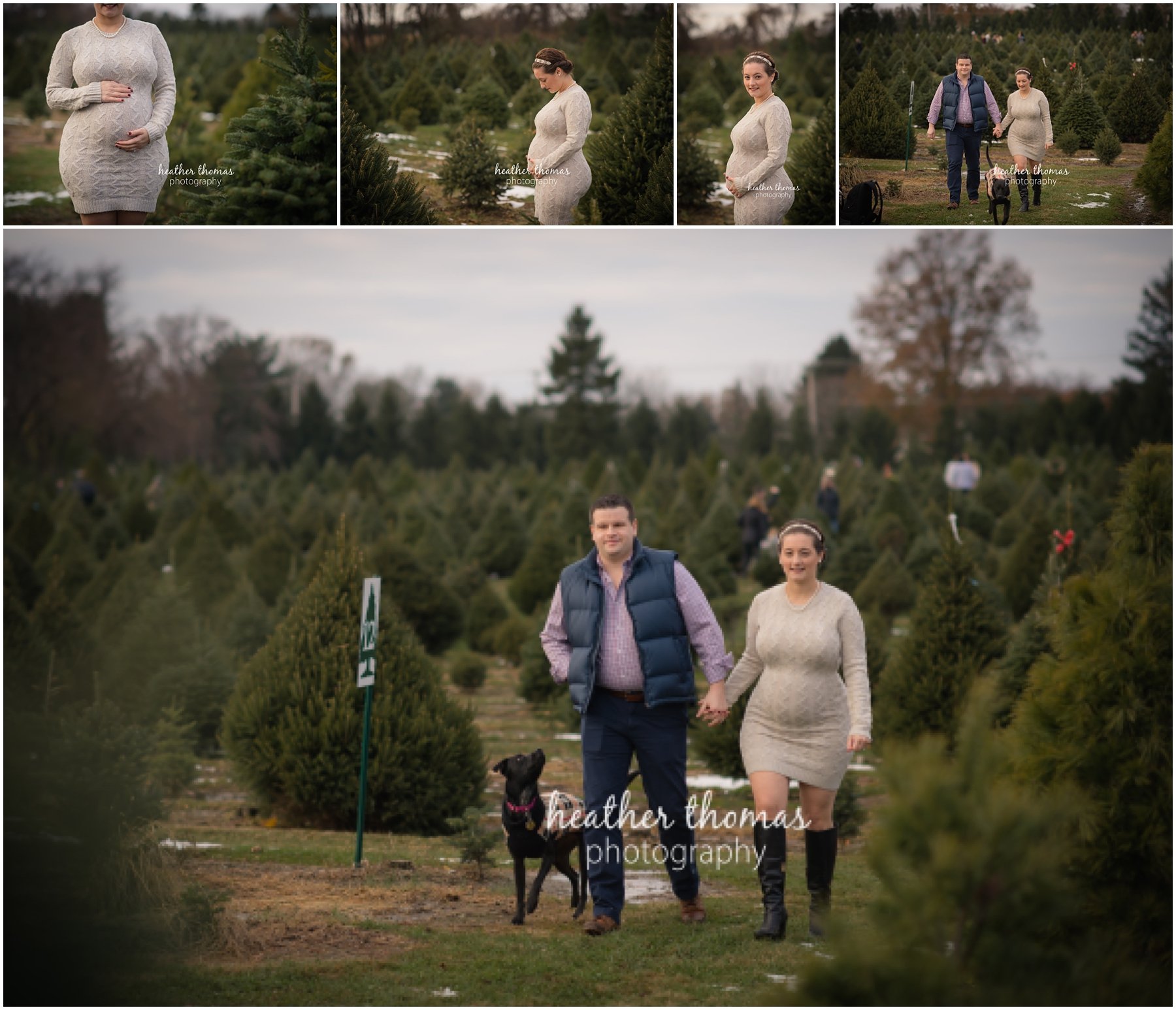 christmas-tree-farm-bucks-county-45.jpg maternity photos at a christmas tree farm in yardley pa