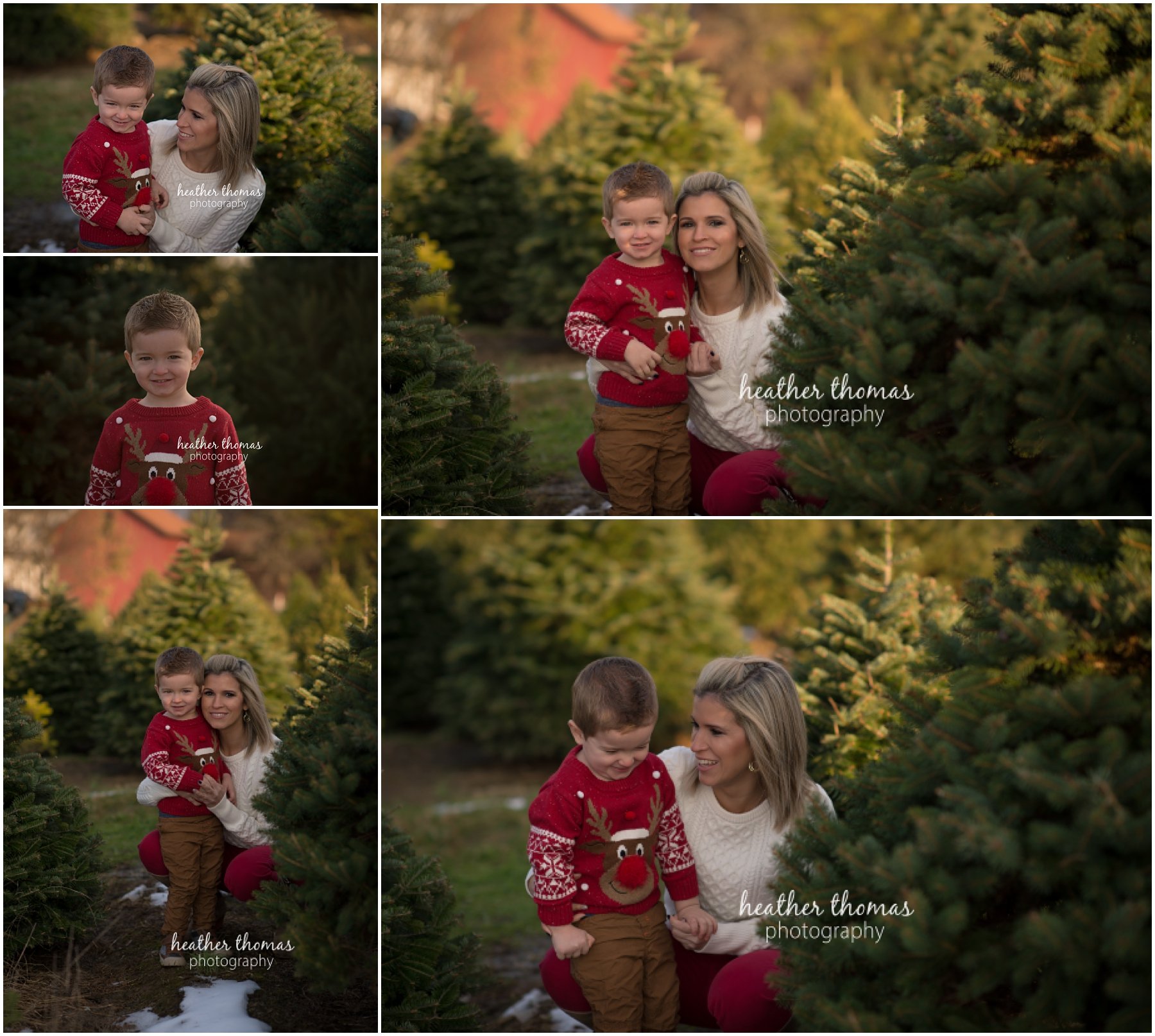 christmas-tree-farm-bucks-county-62.jpg christmas-tree-farm-bucks-county-62.jpg