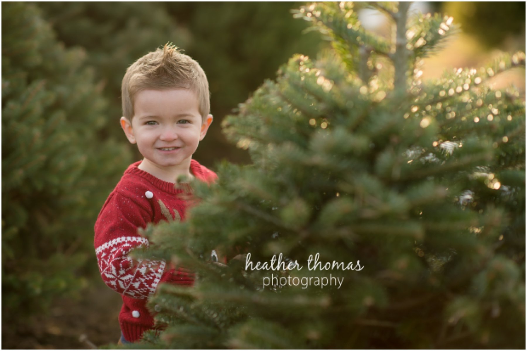 christmas-tree-farm-bucks-county-72.jpg christmas-tree-farm-bucks-county-72.jpg