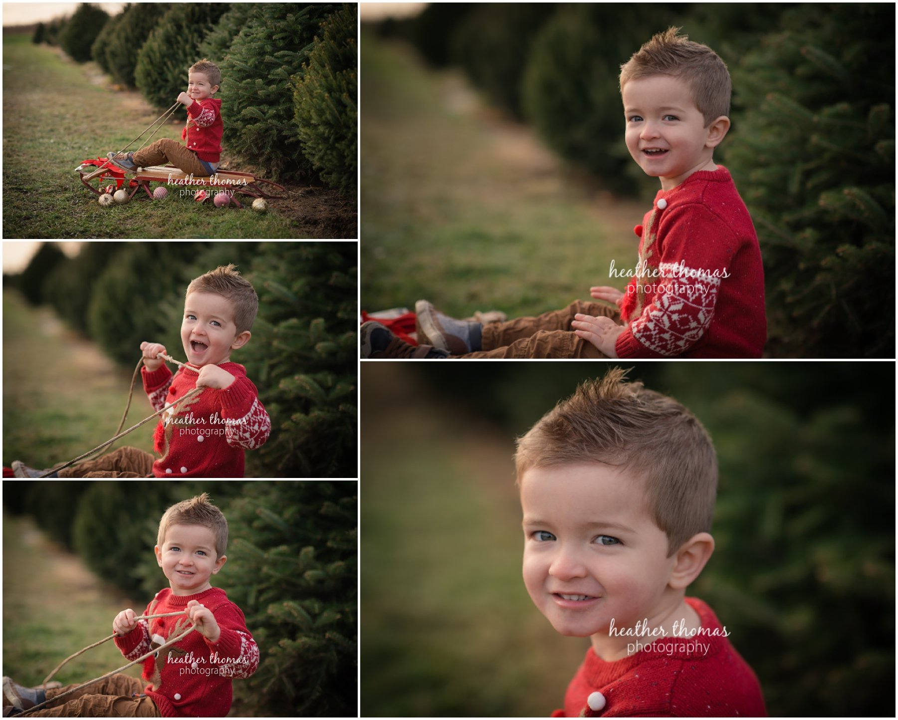 christmas-tree-farm-bucks-county-82.jpg christmas-tree-farm-bucks-county-82.jpg