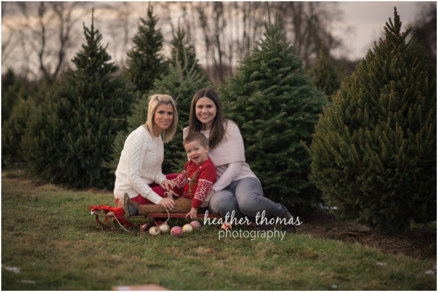 christmas-tree-farm-bucks-county-95.jpg christmas-tree-farm-bucks-county-95.jpg