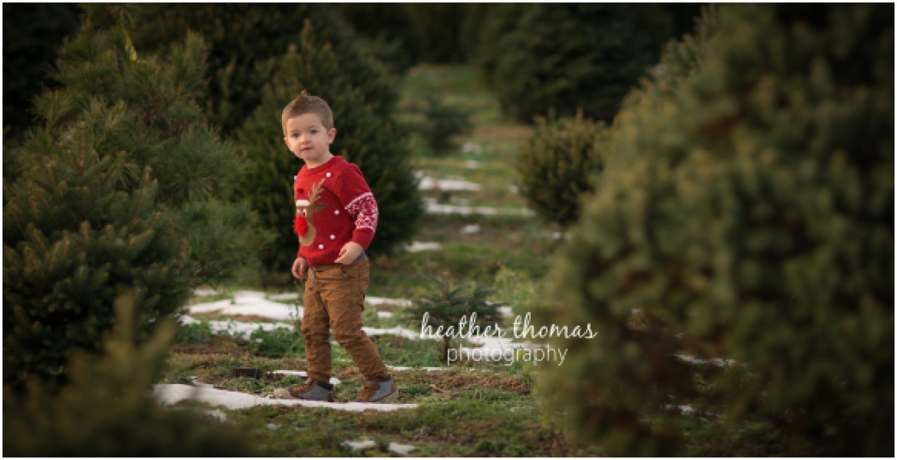 christmas-tree-farm-bucks-county-99.jpg christmas-tree-farm-bucks-county-99.jpg