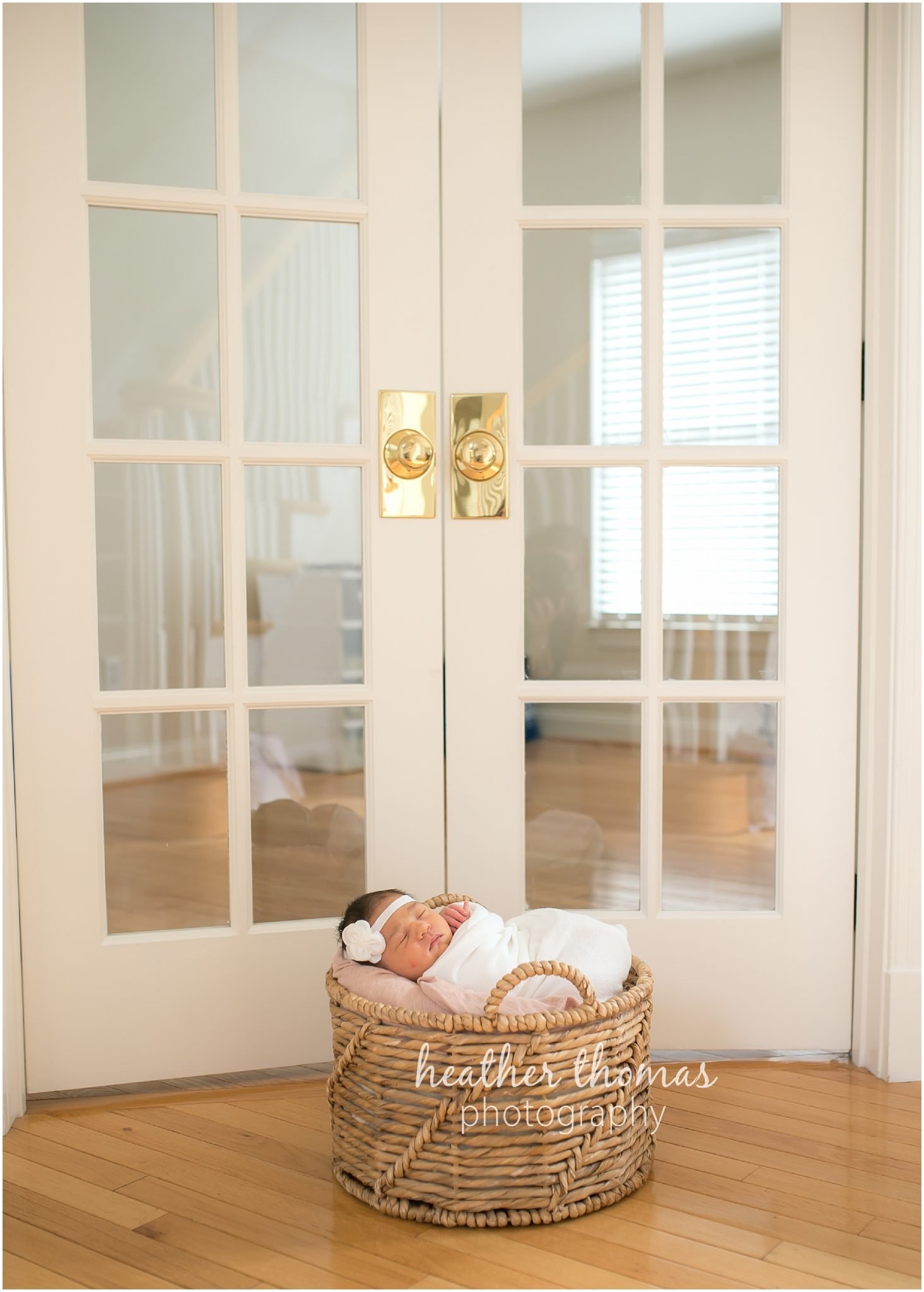 ricketti-newborn-photos-newtown-pa-42.jpg a newborn girl in a basket at a photo shoot in newtown pa