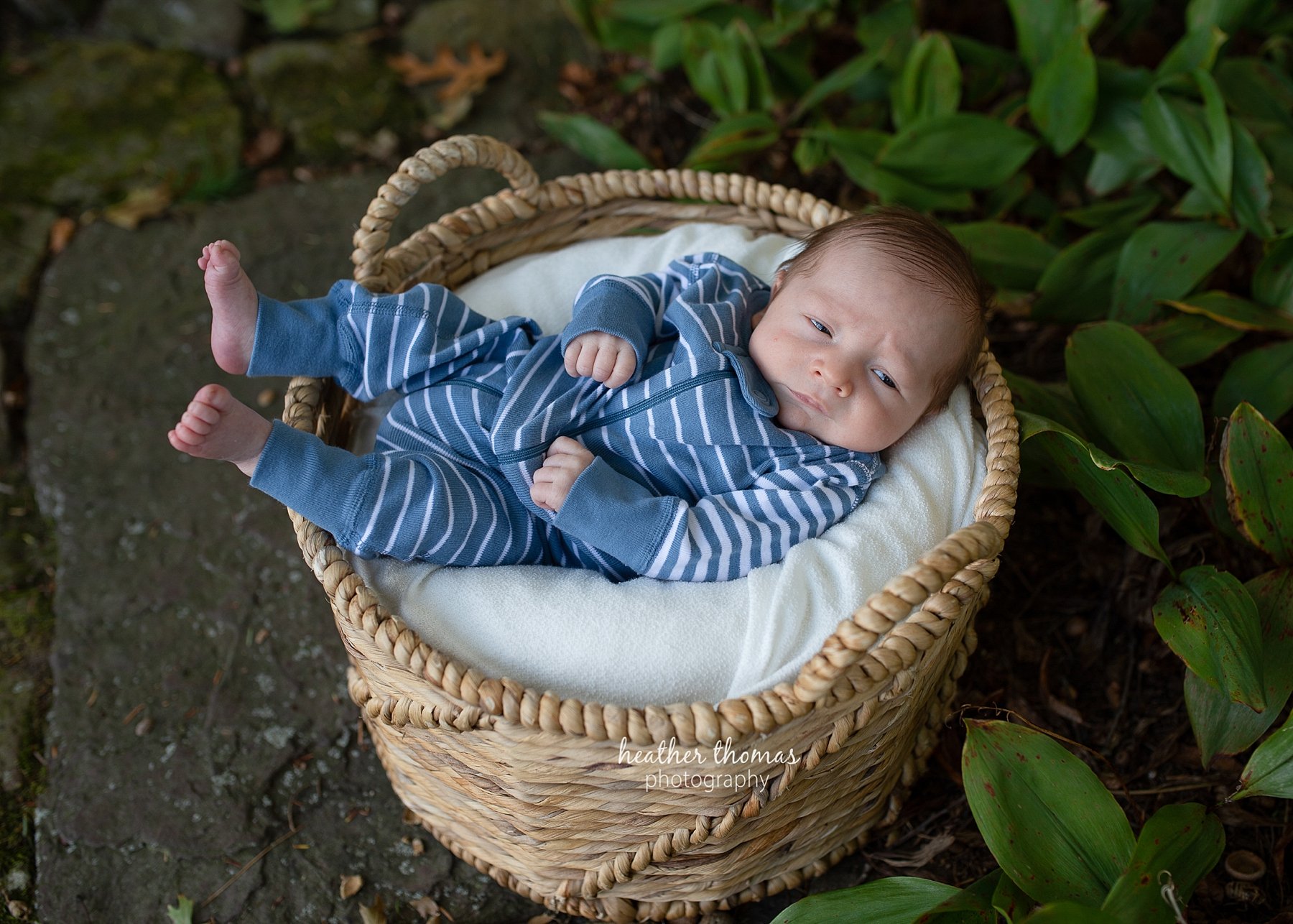 newborn portraits in bucks county pa a newborn boy in a basket in bucks county pa
