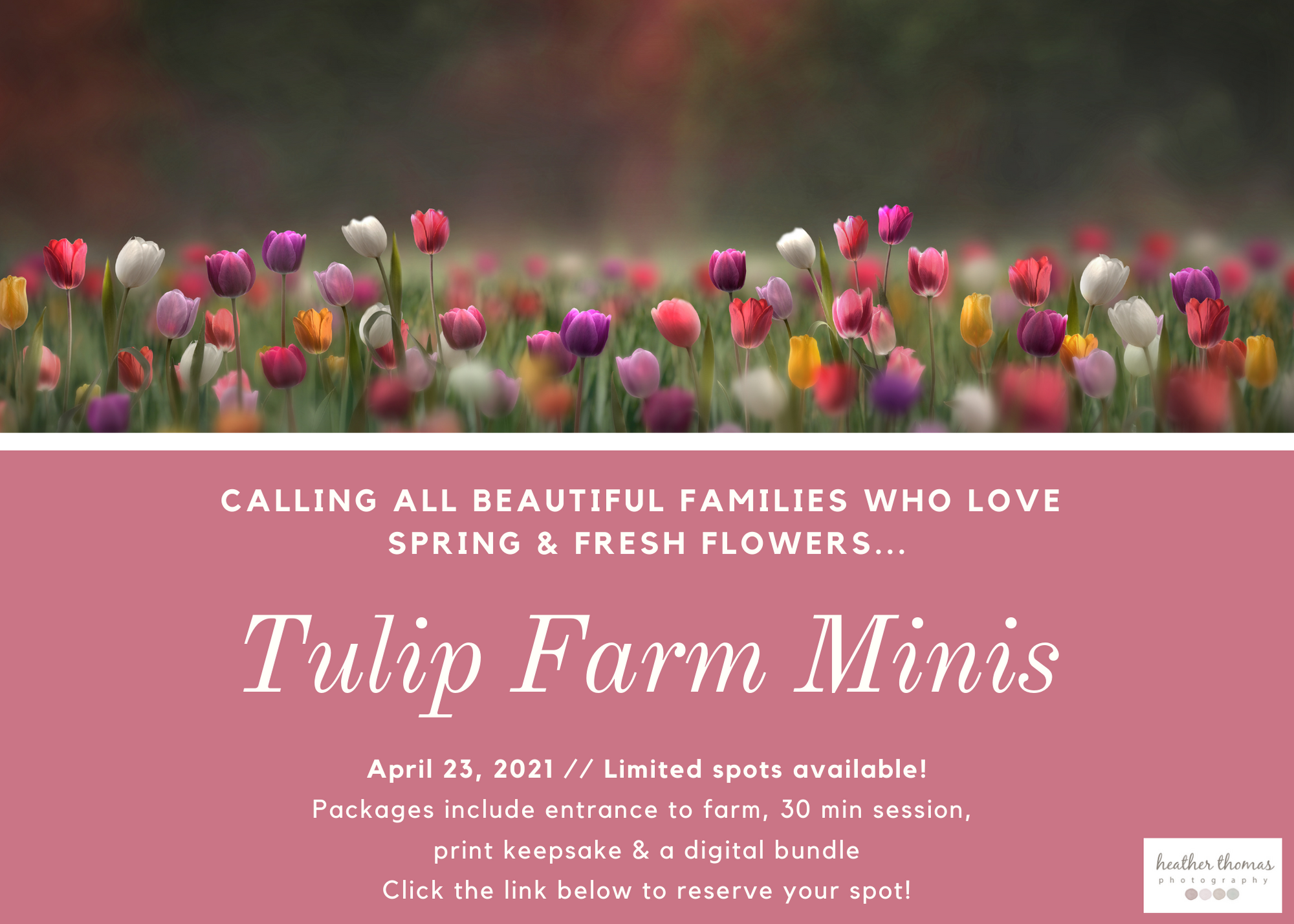 Tulip Farm Mini with Heather Thomas Photography