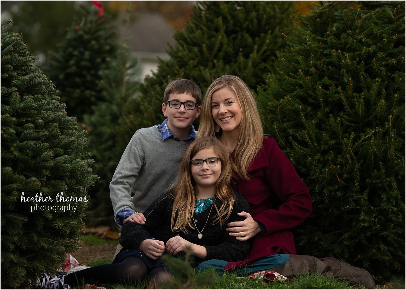 christmas tree farm