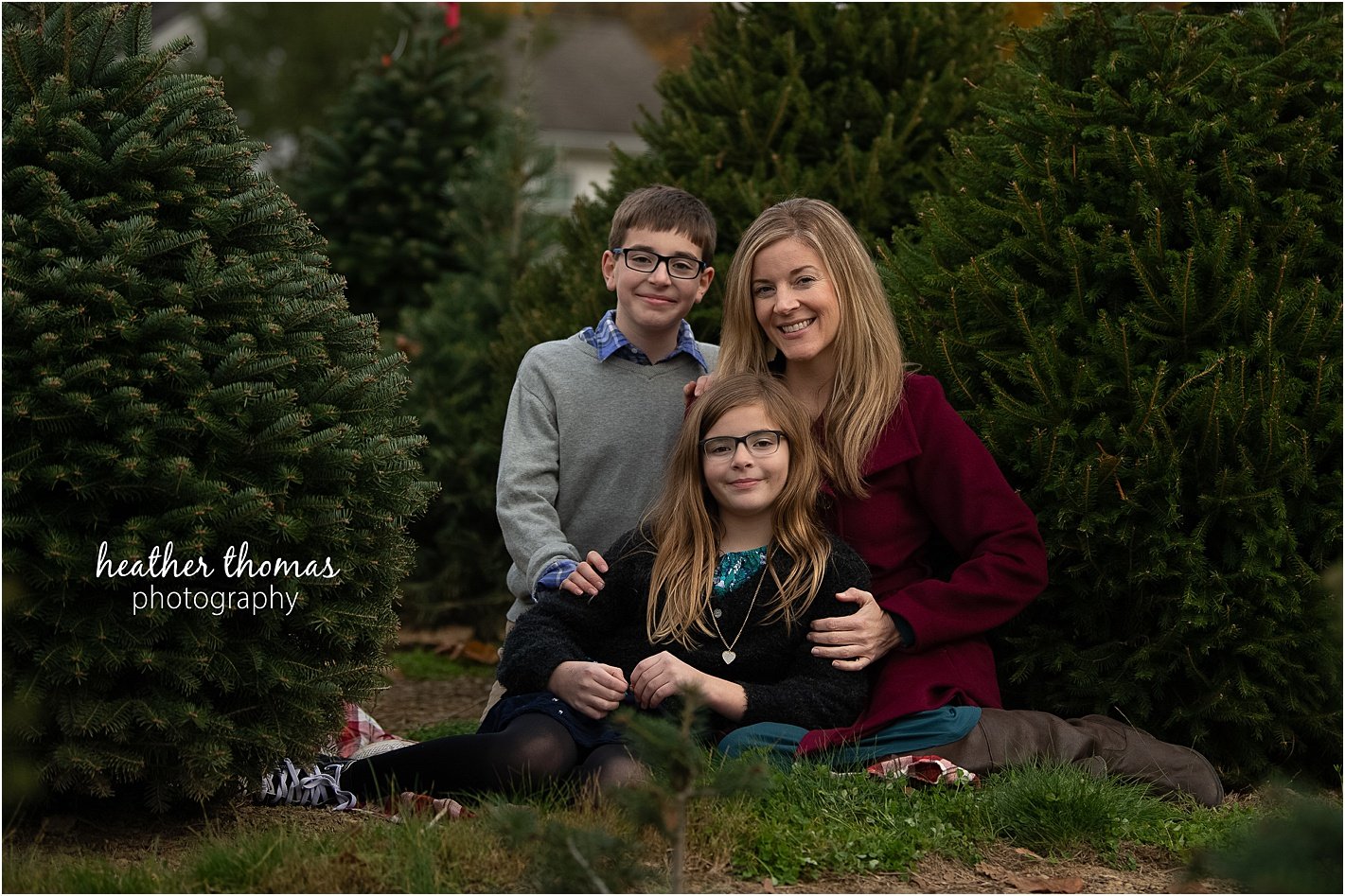 christmas tree farm