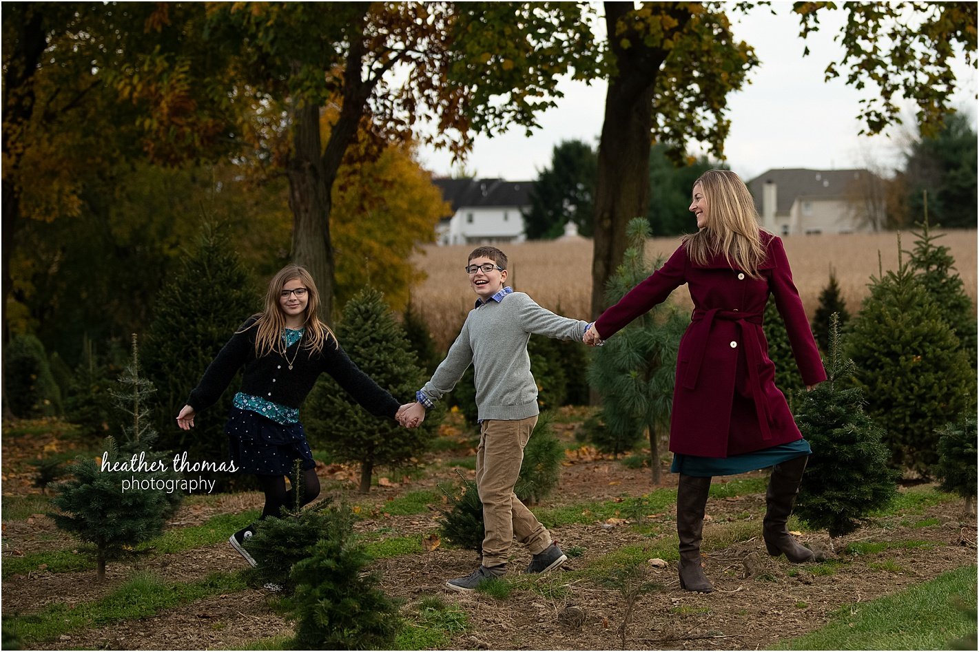 christmas tree farm