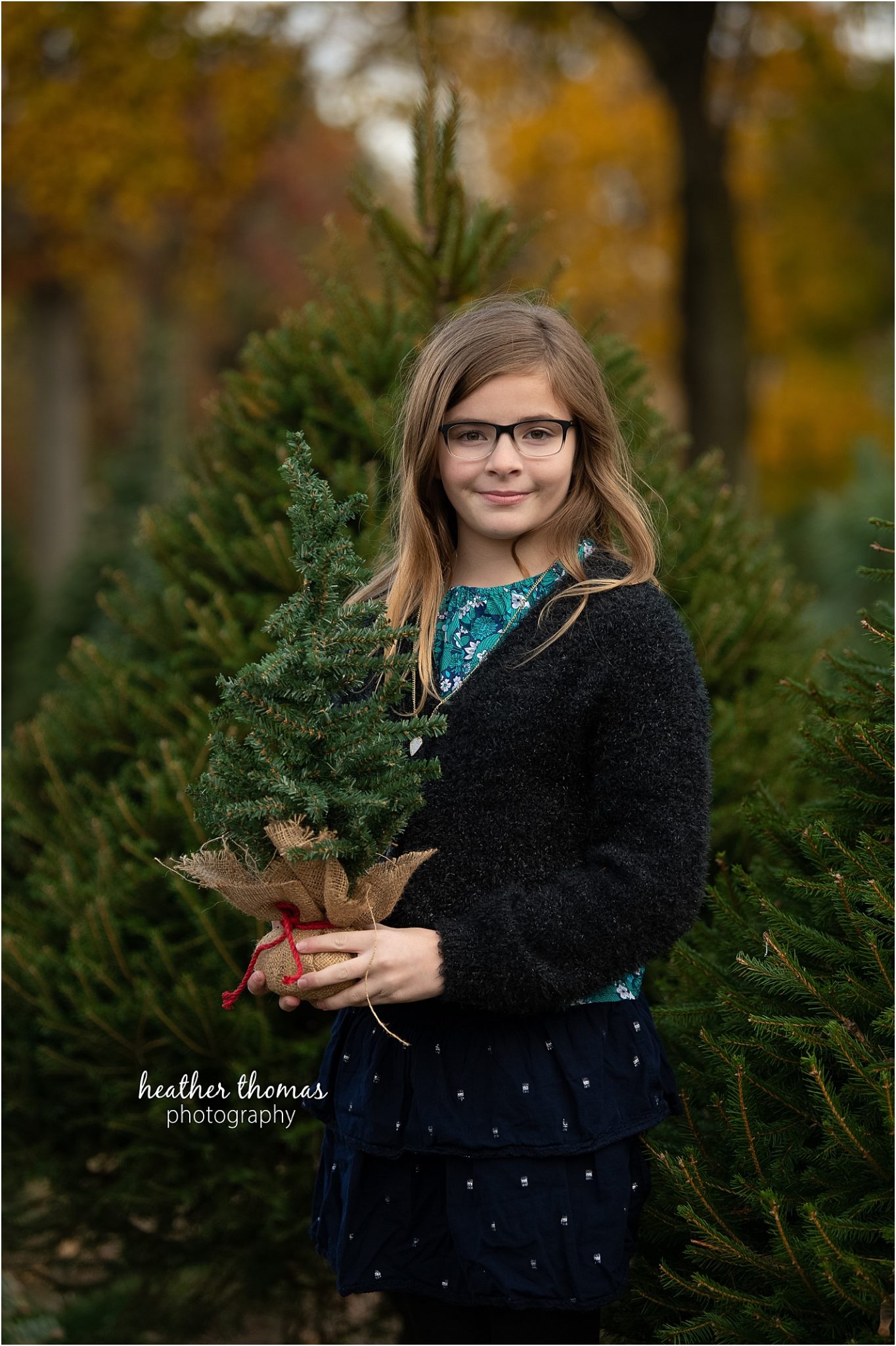 christmas tree farm