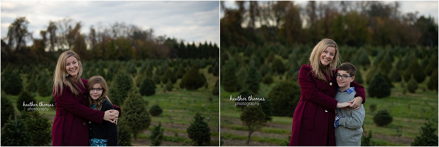 christmas tree farm