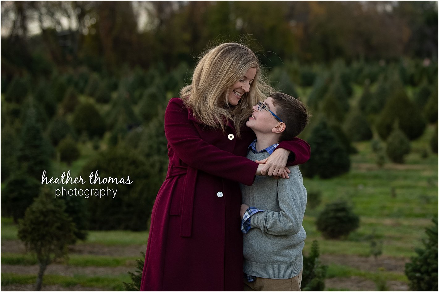 christmas tree farm