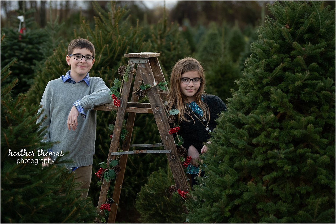 christmas tree farm