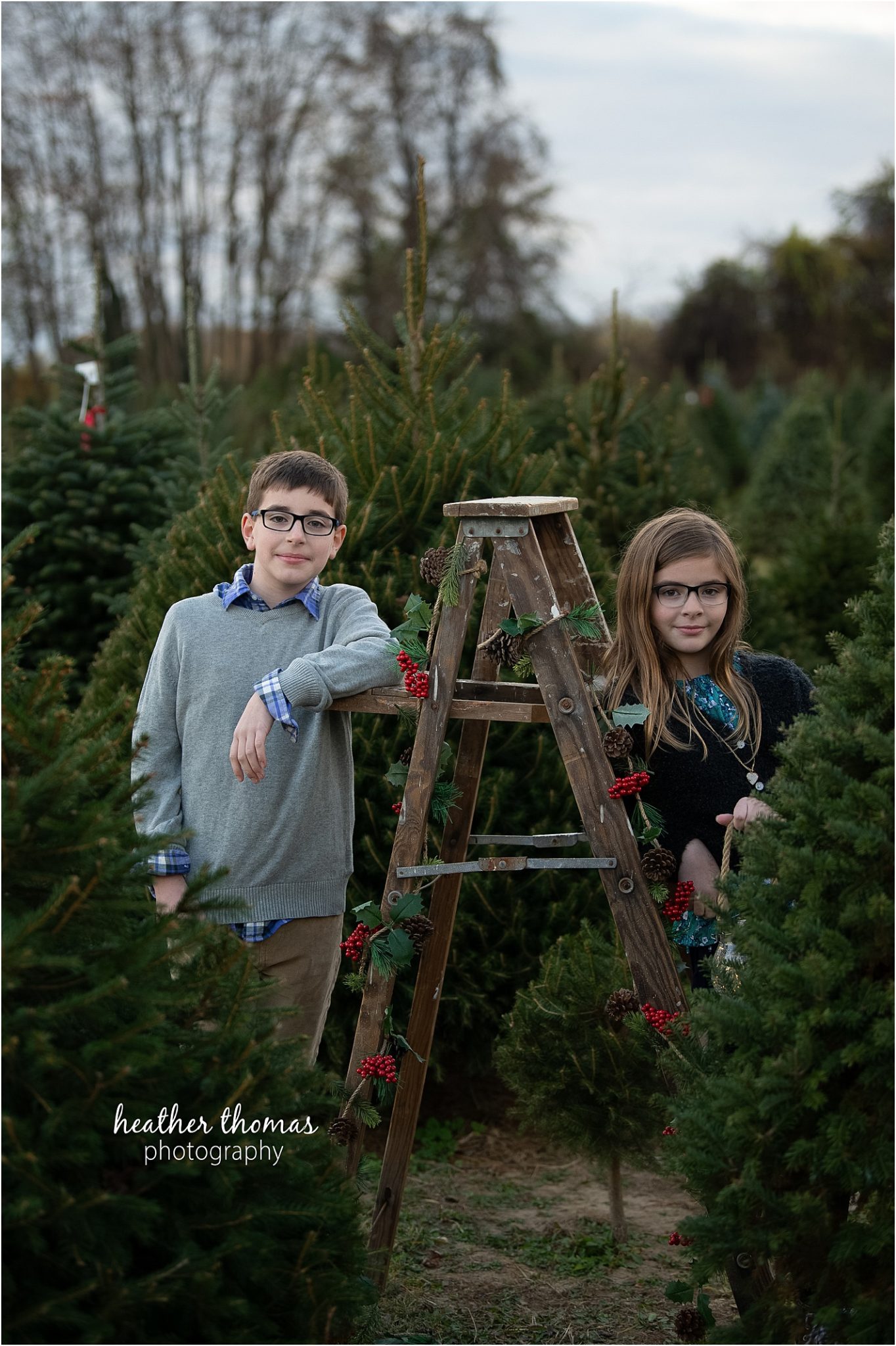 christmas tree farm