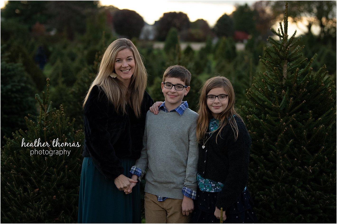 christmas tree farm