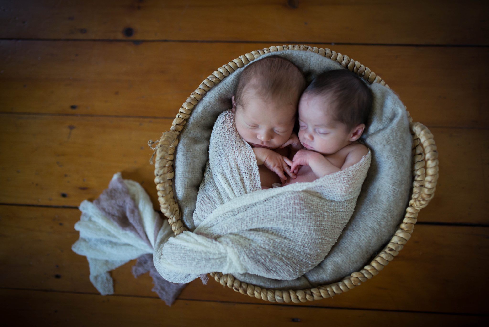 Philadelphia Newborn Photographer newborn twins in a basket at their newborn photo shoot with heather thomas photography