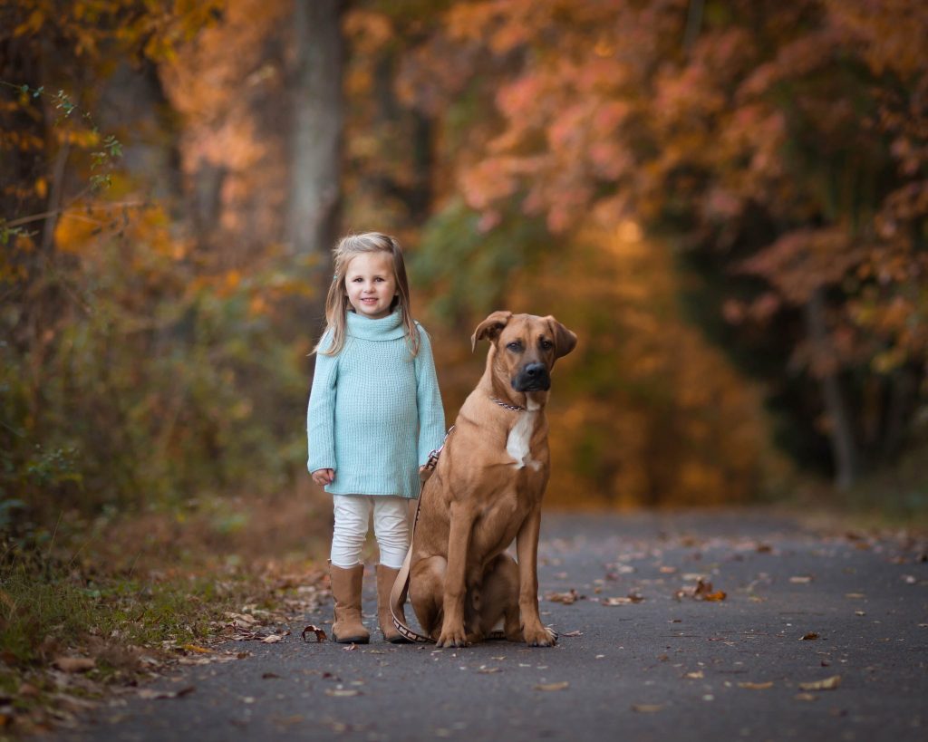 Fall Mini Session Photography in Philadelphia Young girl with family dog during early Fall Mini Session Photography in Philadelphia on tree-lined path